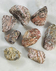 Leopardskin jasper tumbled stones for grounding the root chakra