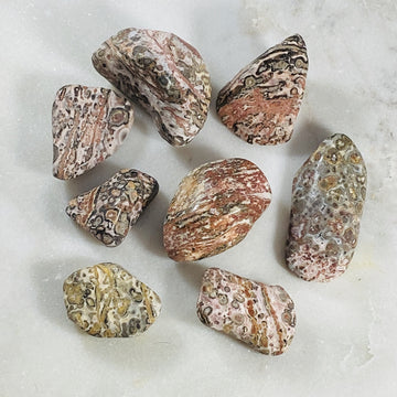 Leopardskin jasper tumbled stones for grounding the root chakra