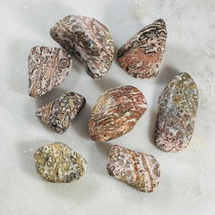 Leopardskin jasper tumbled stones for grounding the root chakra
