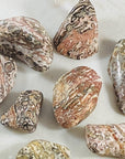 Leopardskin jasper tumbled stones for root chakra grounding