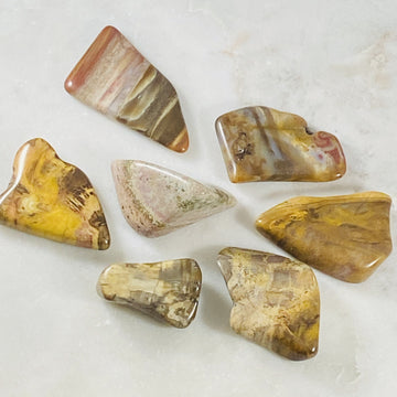 Petrified wood for grounding and patience