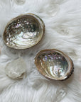 abalone shelf for natural home decor from sarah belle