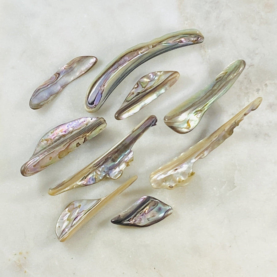 Natural abalone shell pieces for calming