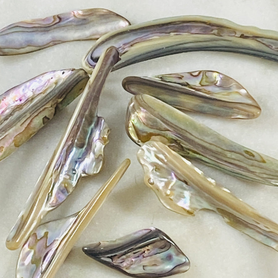 Abalone shells from the ocean for calming