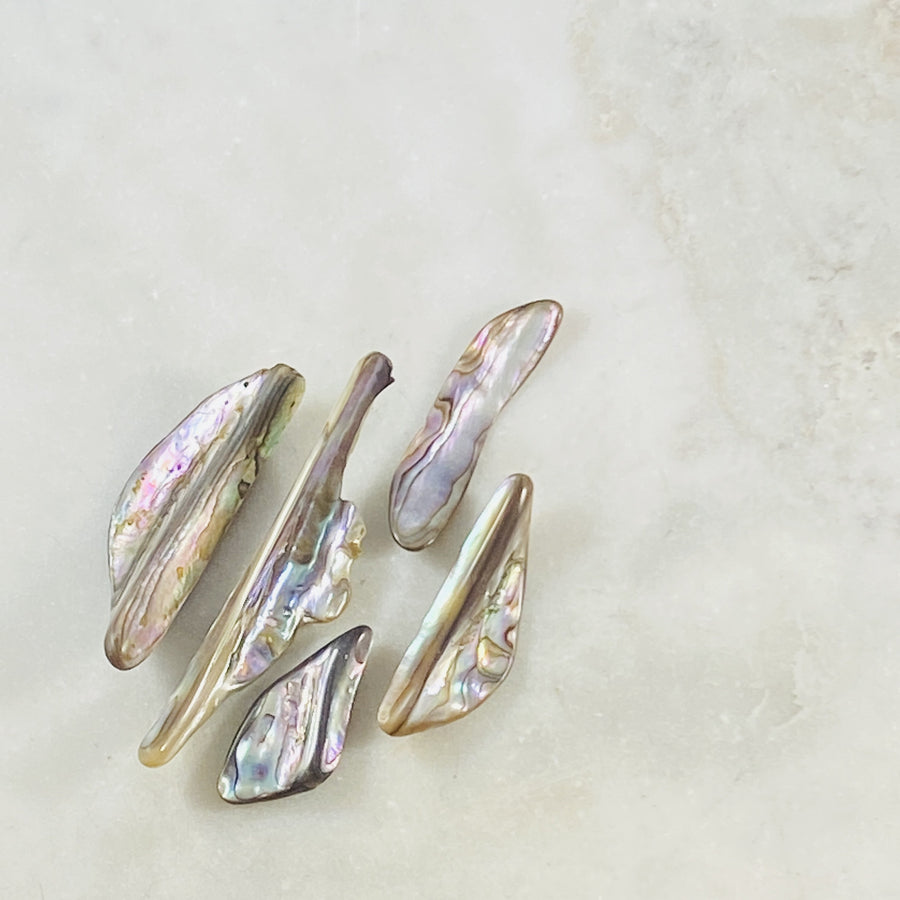 Natural abalone shell pieces for relaxation