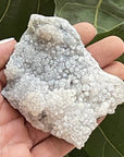 amethyst flower specimen