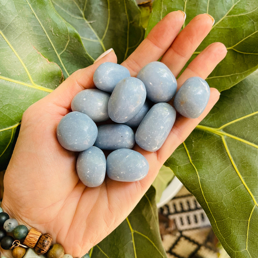 sarah belle angelite crystal for higher chakra activation