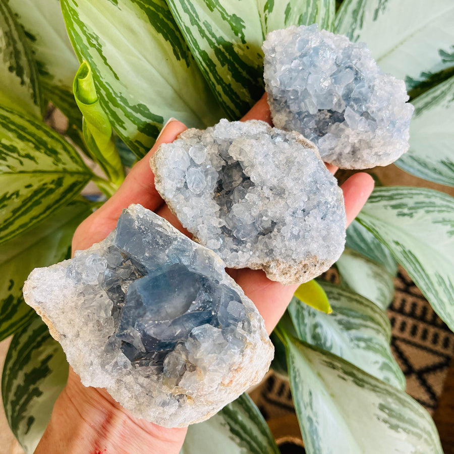 sarah belle celestite druzy cluster