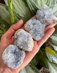 Sarah Belle celestite druzy cluster mini