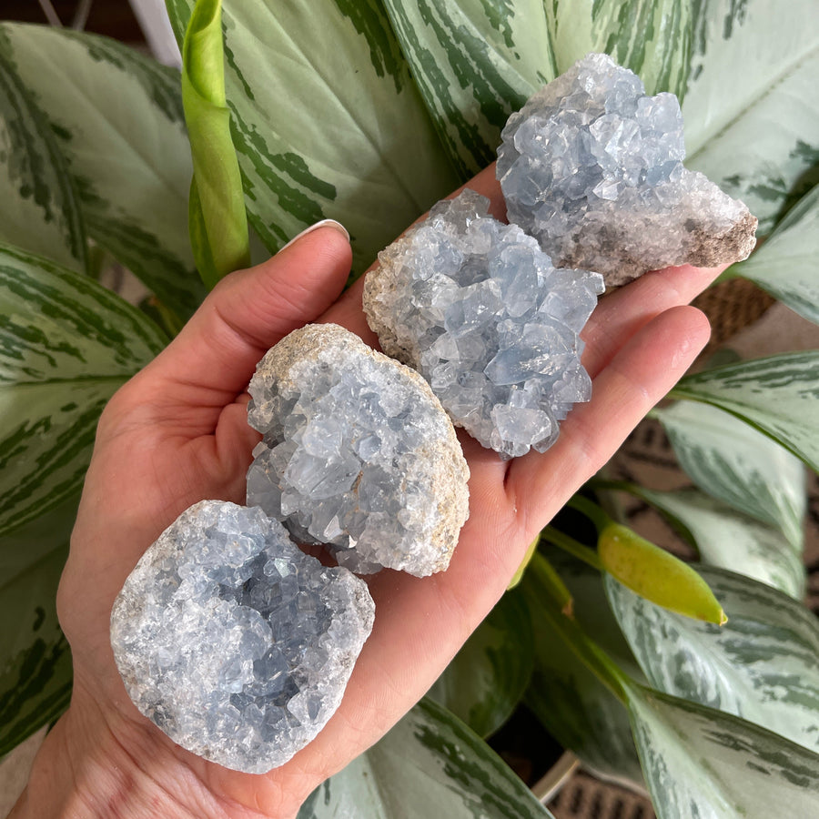 Sarah Belle celestite druzy cluster mini