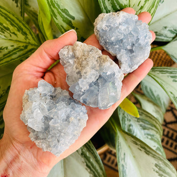 sarah belle celestite druzy cluster small