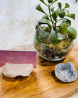 sarah belle quartz business card holder