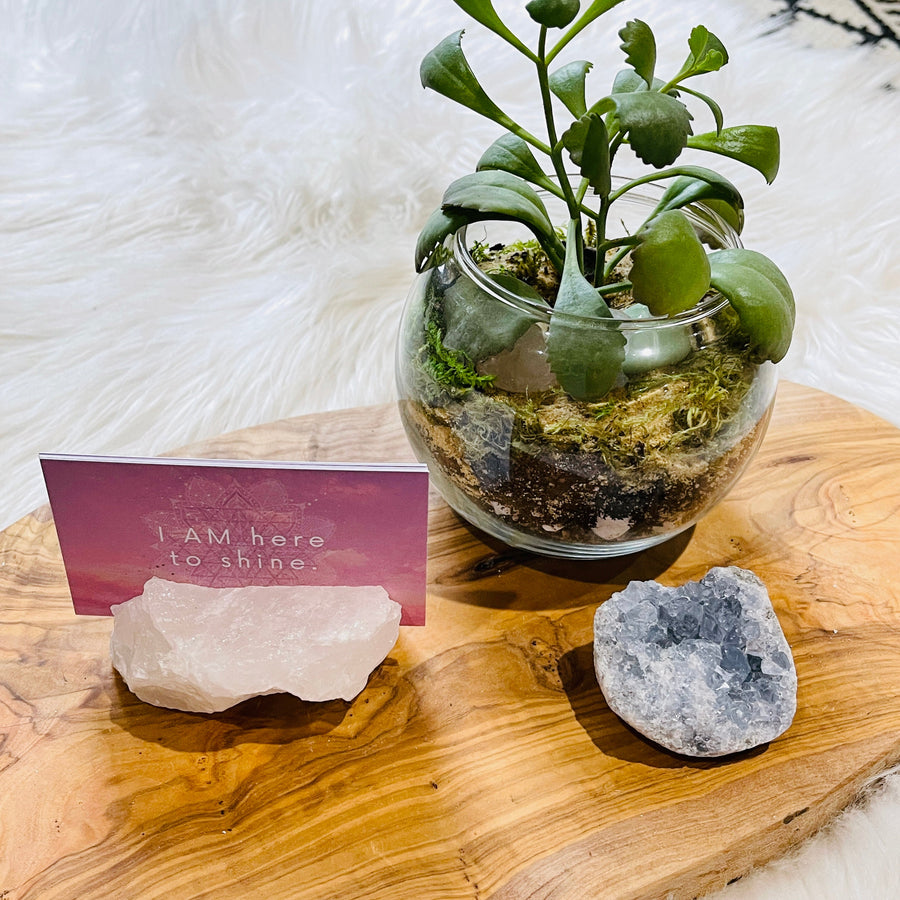 sarah belle quartz business card holder