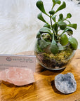 rose quartz business card holder