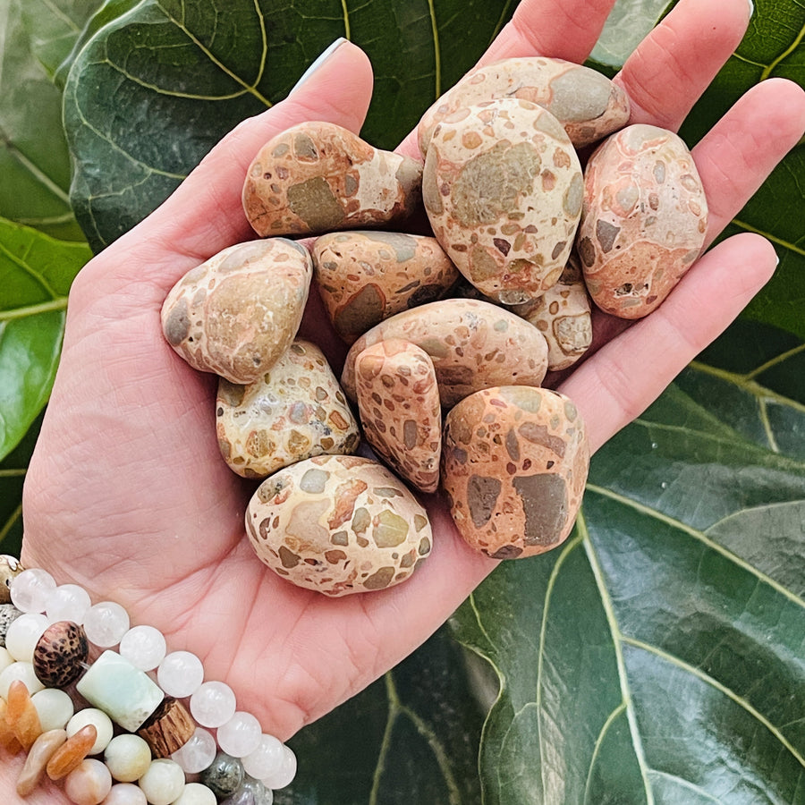 sarah belle leopardite tumbled stone for self-acceptance