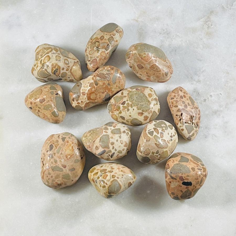 sarah belle leopardite tumbled stone for raising your vibration