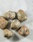 sarah belle leopardite crystal tumbled stone