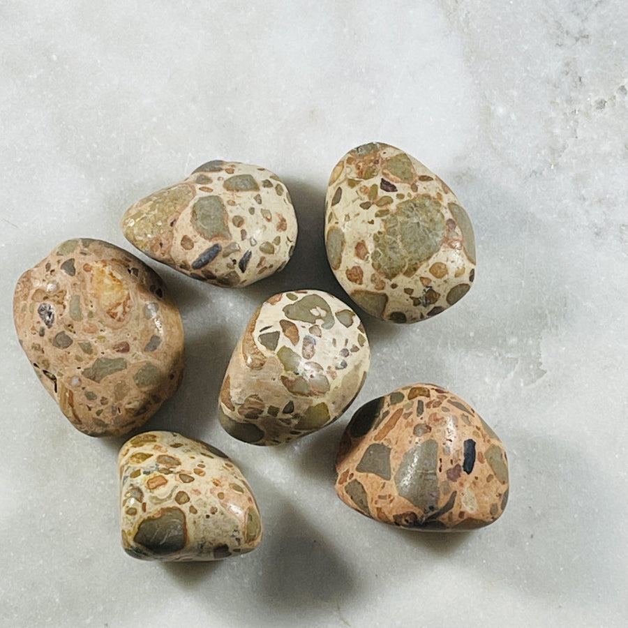 sarah belle leopardite crystal tumbled stone