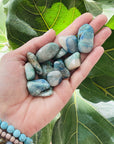 quantum quattro tumbled stone from sarah belle