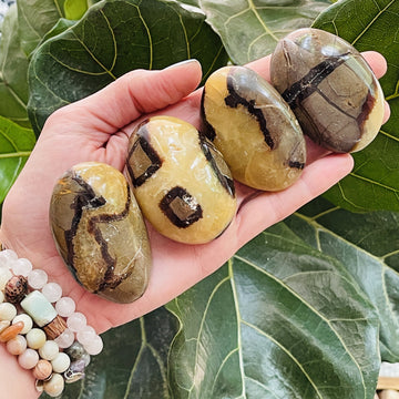 Sarah Belle septarian palm stones for root chakra