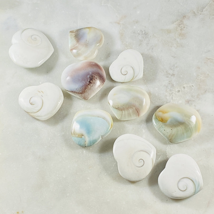 shiva shell heart for third eye awakening and intuition