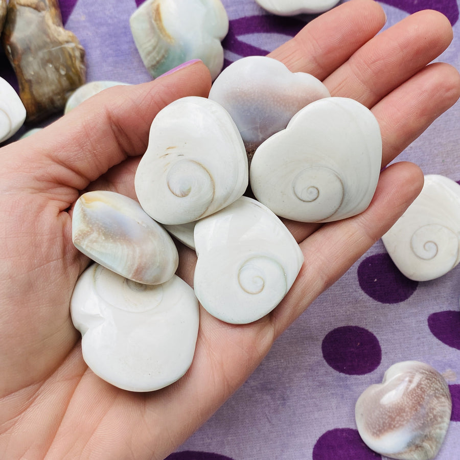 shiva shell heart for awakening third eye chakra sarah belle
