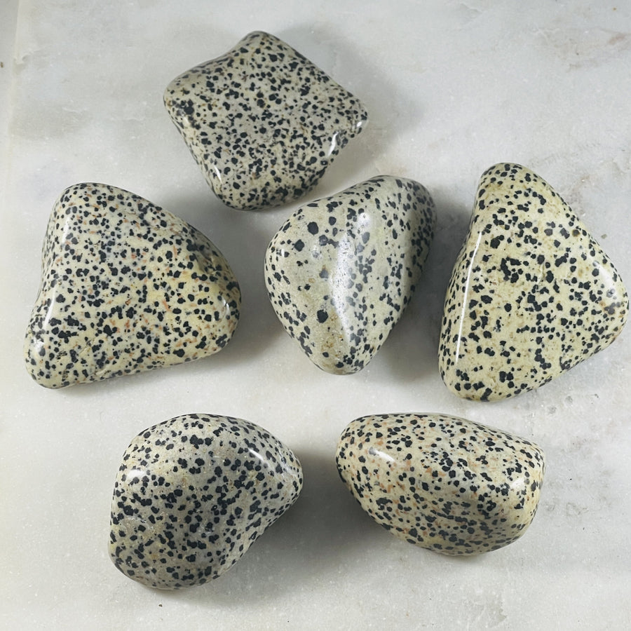 sarah belle dalmatian jasper extra large tumbles
