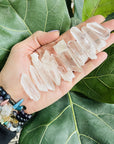 Sarah Belle lemurian quartz crystals for crystal wisdom