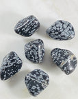 Snowflake Obsidian Healing Crystal for Removing Negative Energy