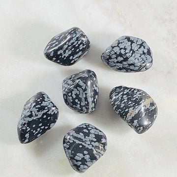 Snowflake Obsidian Healing Crystal for Removing Negative Energy