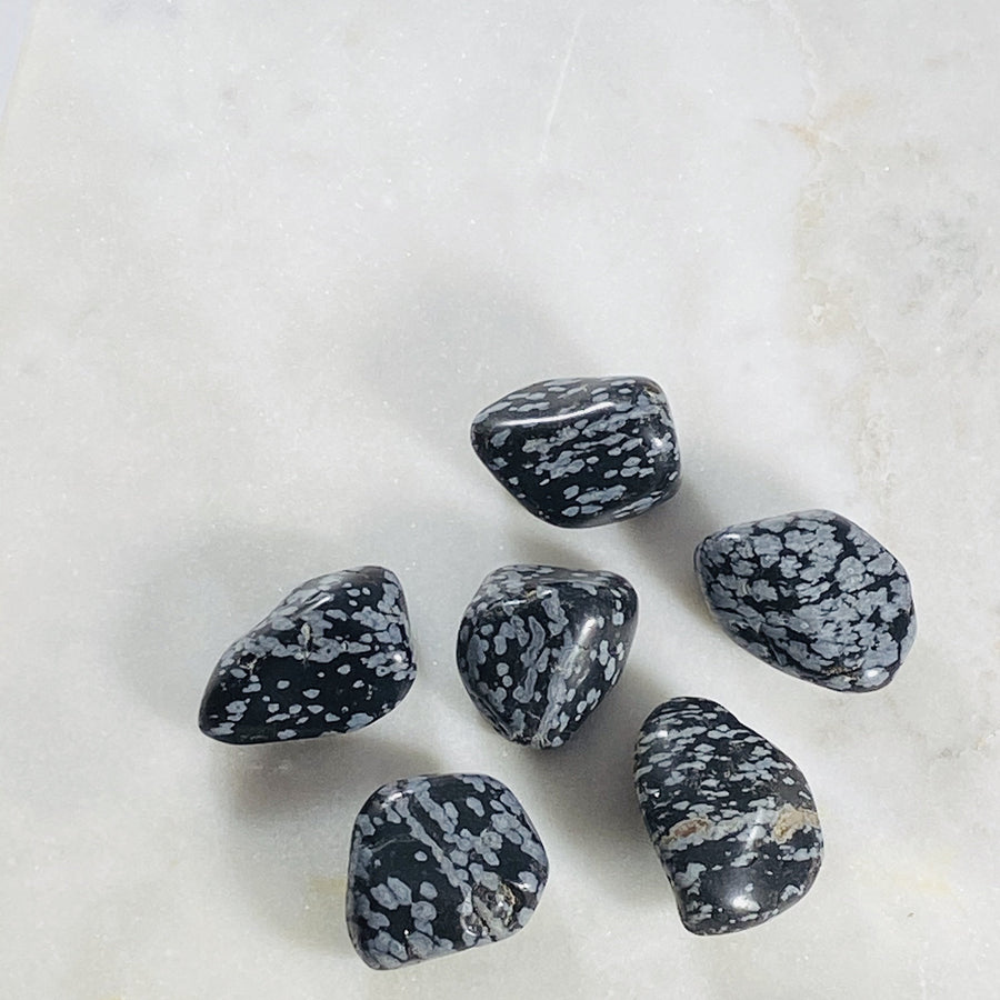 Snowflake Obsidian Healing Crystal for Removing Negative Energy