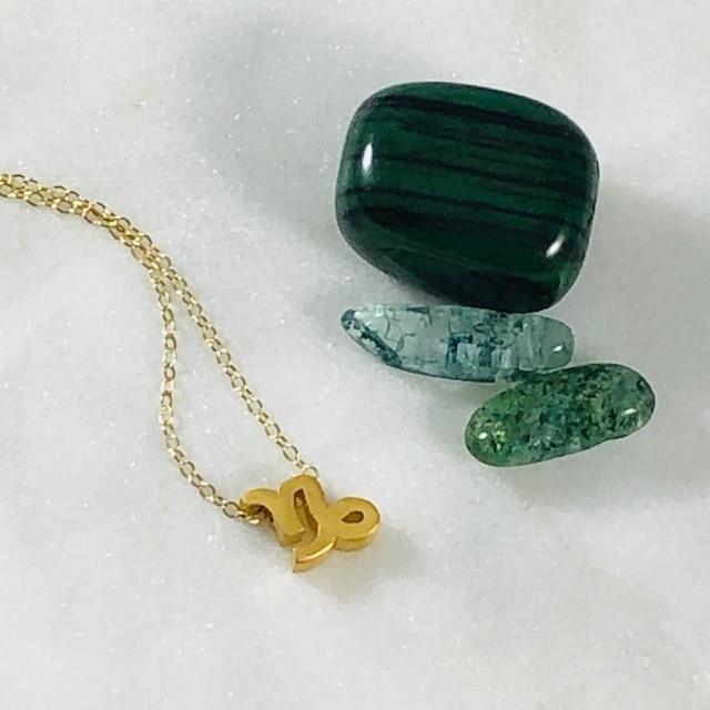 Capricorn Charm Necklace with Healing Crystal Perfect Gift