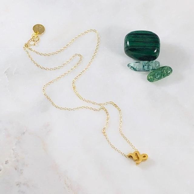 Capricorn Charm Necklace with Healing Crystal Perfect Gift