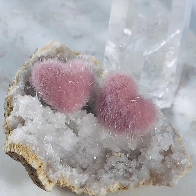 Fuzzy Heart Stud Earrings Rose for Love